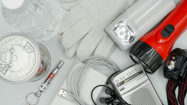 Role of Disaster Prevention Goods