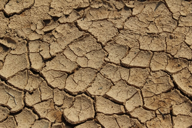 drought