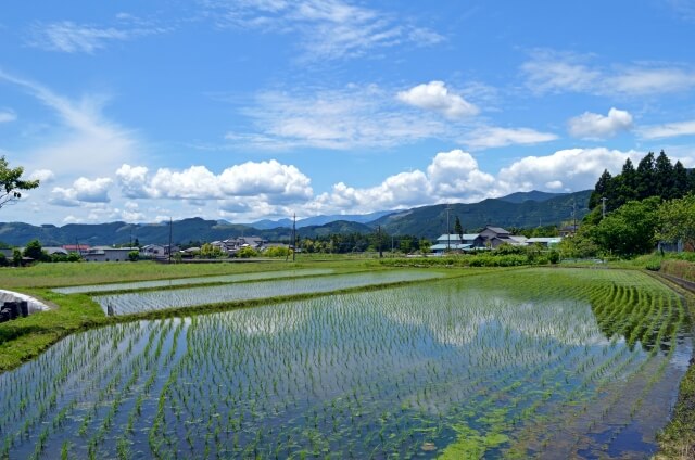 production activities