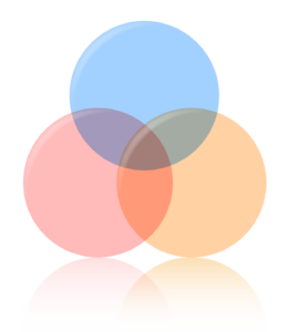 Fundamentals of Disaster Preparedness