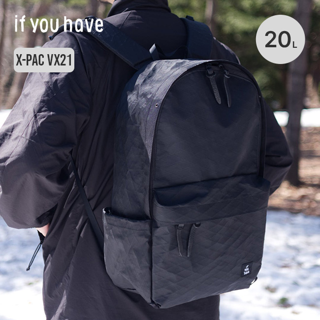 if you have イフユーハブ エブリデイビッグ X-PAC VX21