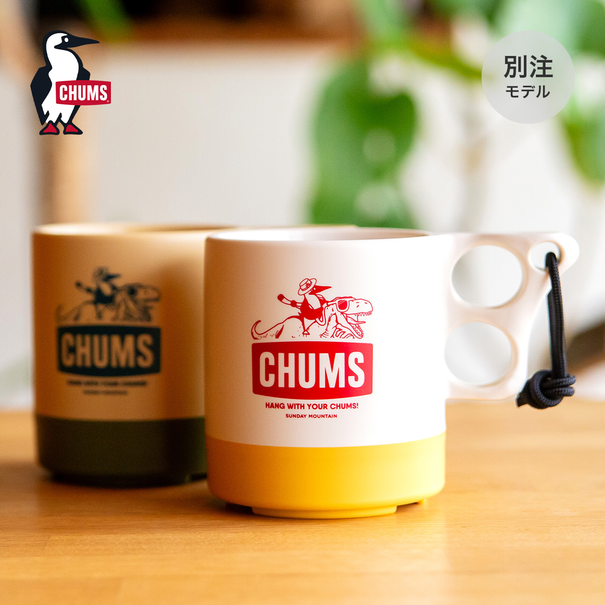 CHUMS×SUNDAY MOUNTAIN チャムス×サンデーマウンテン CHUMS別注ダイナソーキャンパーマグ