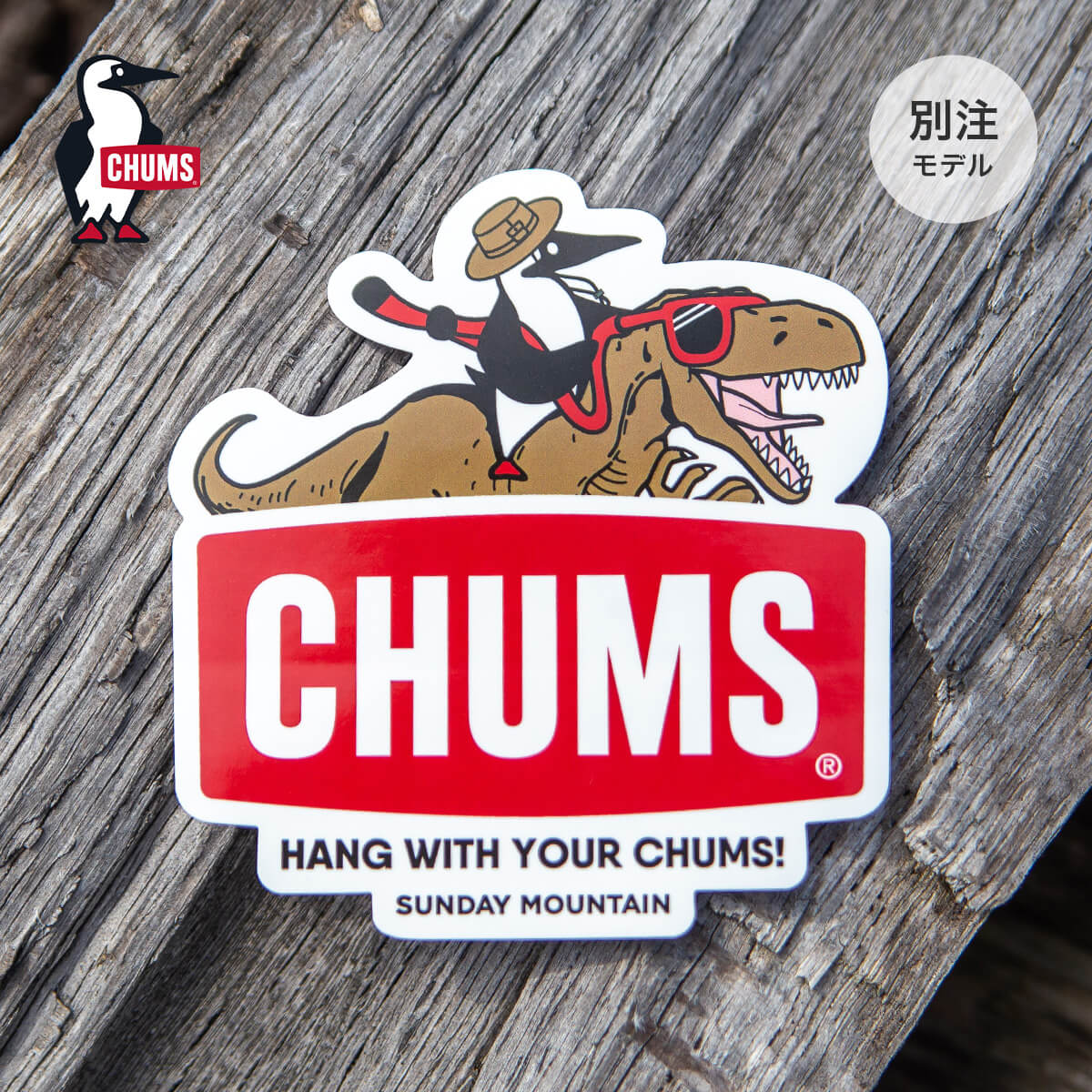 CHUMS×SUNDAY MOUNTAIN チャムス×サンデーマウンテン CHUMS別注ダイナソーステッカー