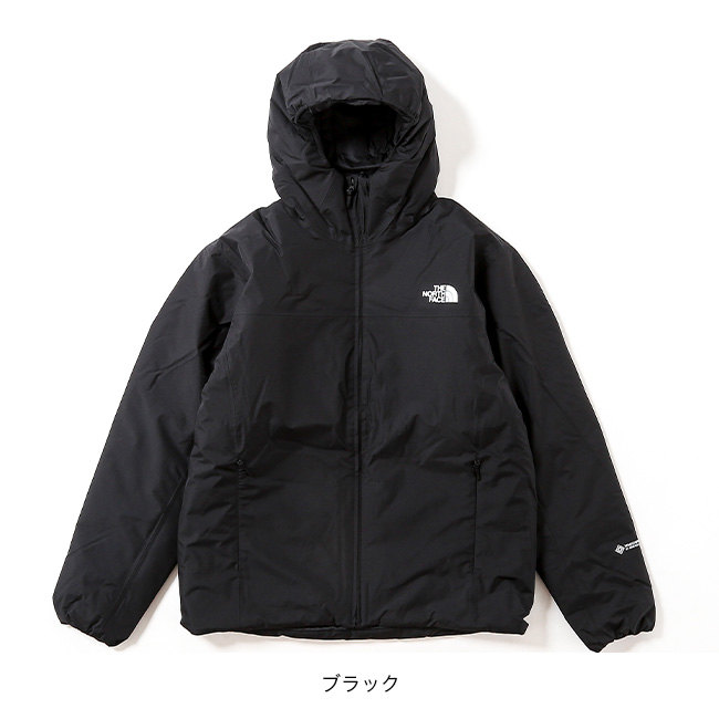 THE NORTH FACE ノースフェイス GTXアクションインサレーテッド