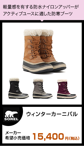 ウィンターカーニバル