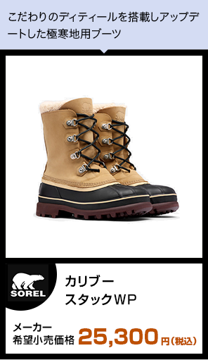 カリブースタックWP