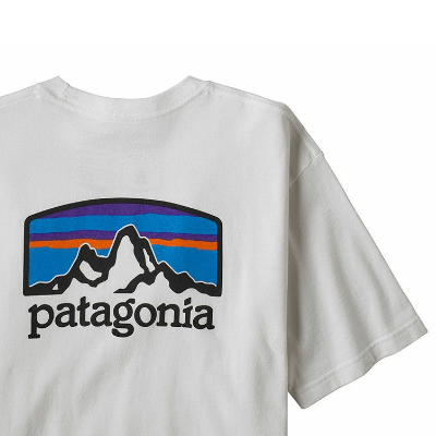 patagonia パタゴニア フィッツロイホライゾンズレスポンシビリティーTee