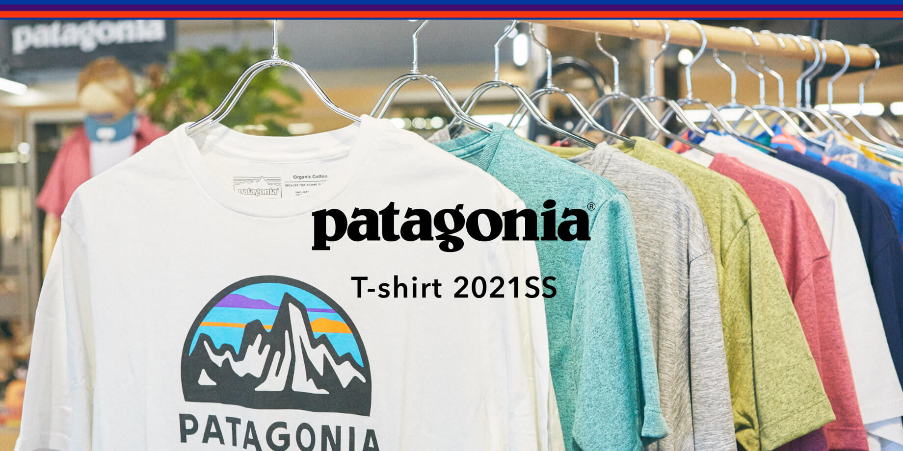 patagonia パタゴニア Tshirt 2021SS
