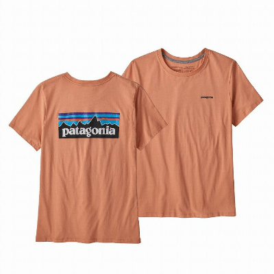 patagonia パタゴニア ロゴオーガニッククルーTシャツ