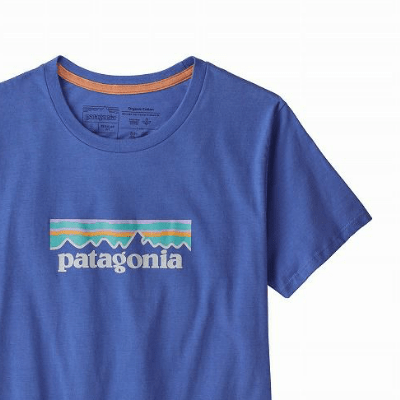 patagonia パタゴニア パステル P-6 ロゴ オーガニッククルーTシャツ